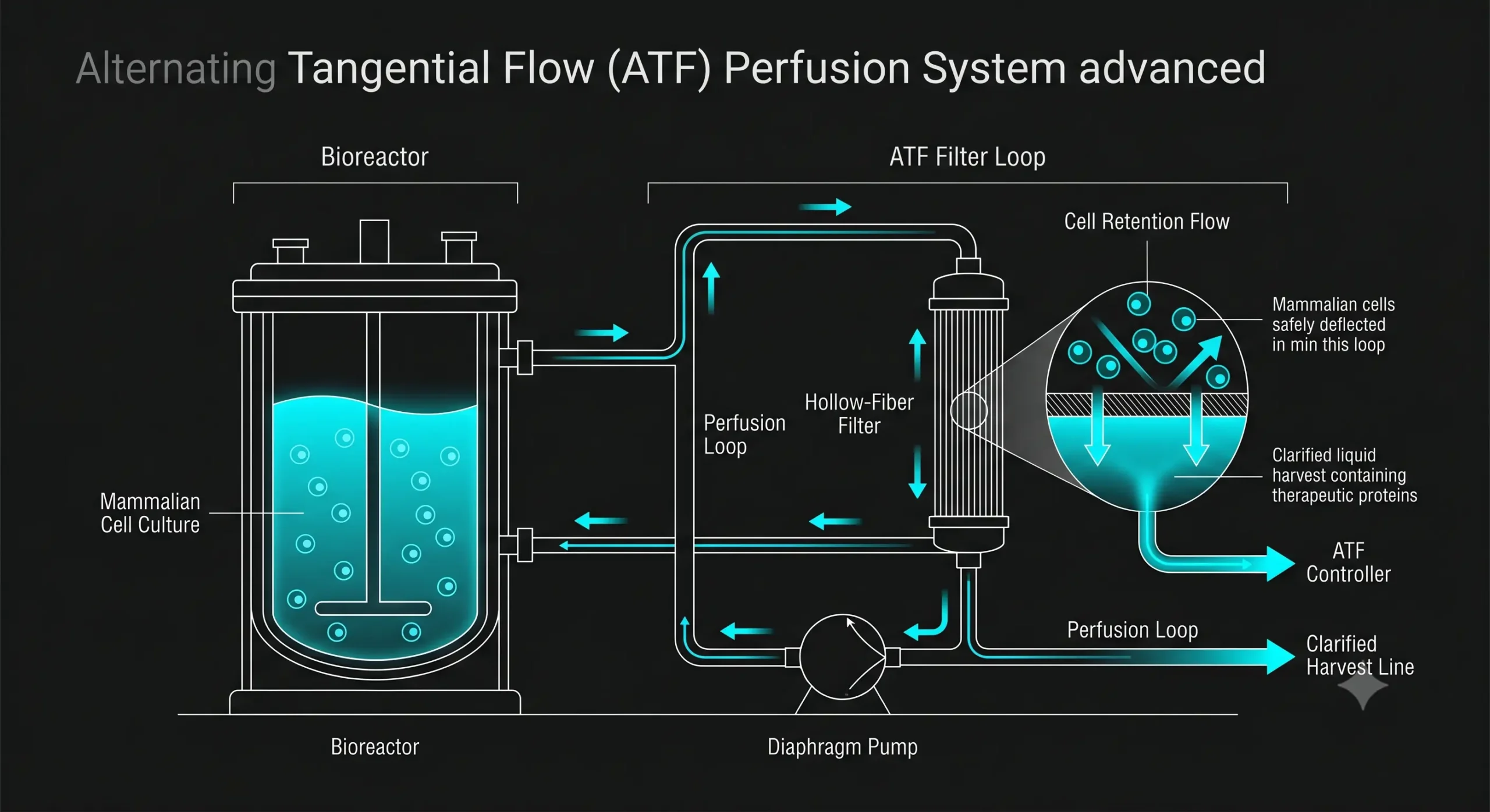 The Tiny Plastic Reactor Replacing Massive Drug Factories