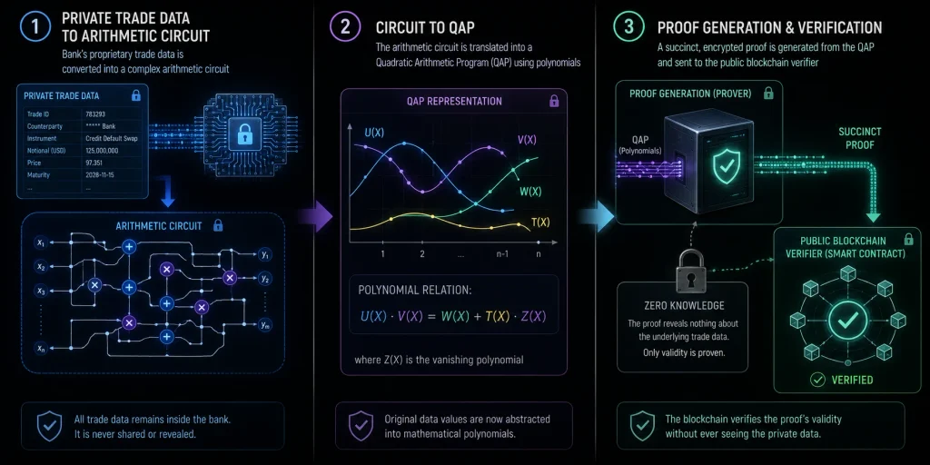 A flowchart comparing plaintext blockchain broadcasting against encrypted zk-SNARK validation for institutional DeFi and MEV protection.
