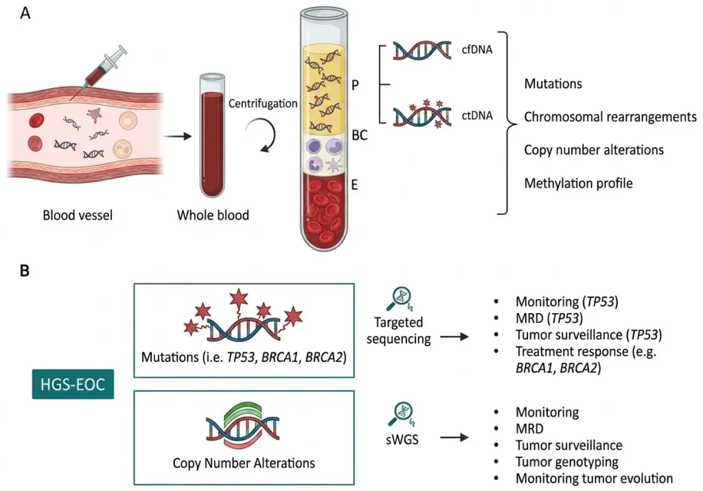 Isolating cfDNA from blood plasma for HGSOC fragmentomic analysis