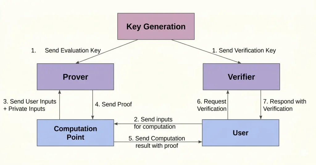 The SNARK workflow The Prover uses evaluation keys to generate a proof from private inputs, which the Verifier confirms mathematically..