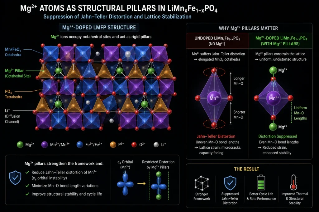 The atomic crystal structure of an LMFP battery suppressing the Jahn-Teller distortion using magnesium doping.