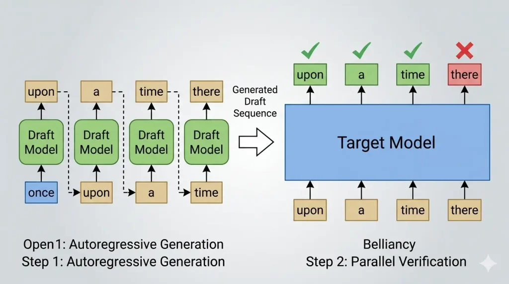 In Speculative Decoding, the lightweight draft model sequentially generates a chain of tokens. The massive target model then verifies the entire chain simultaneously in a single forward pass, accepting correct tokens and correcting deviations..