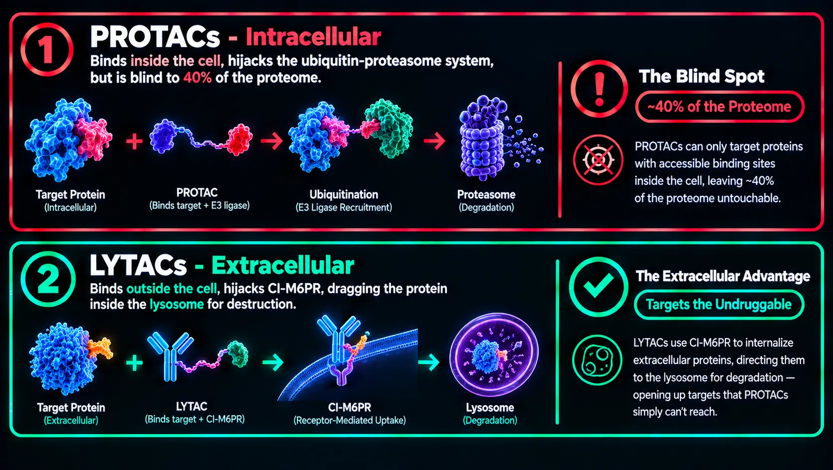 flowchart comparing PROTACs vs. LYTACs. Top path